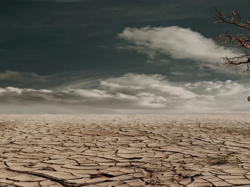 AI and Climate Change