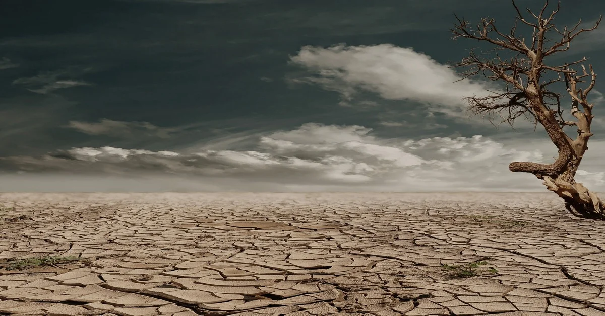 AI and Climate Change